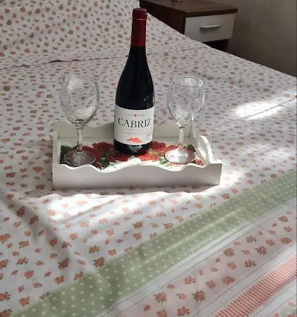 Pikolo דירה *