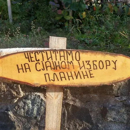 Pikolo זלאטיבור